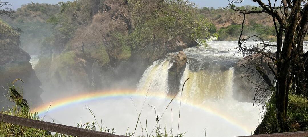 What Types of Safaris Are Offered at Murchison Falls?