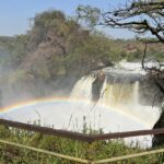 What Types of Safaris Are Offered at Murchison Falls?