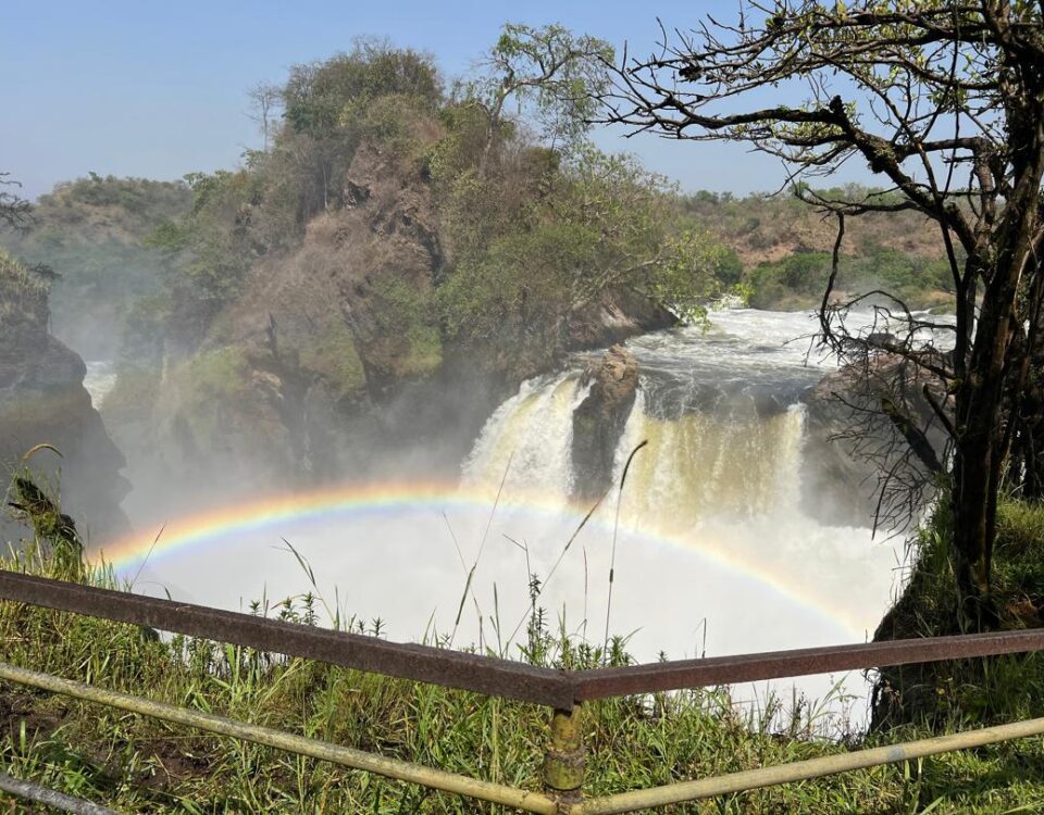 What Types of Safaris Are Offered at Murchison Falls?