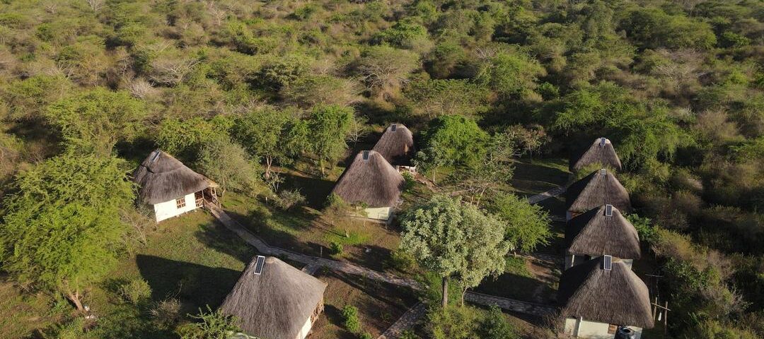 What Luxury Safari Lodges Are Available in Murchison Falls?