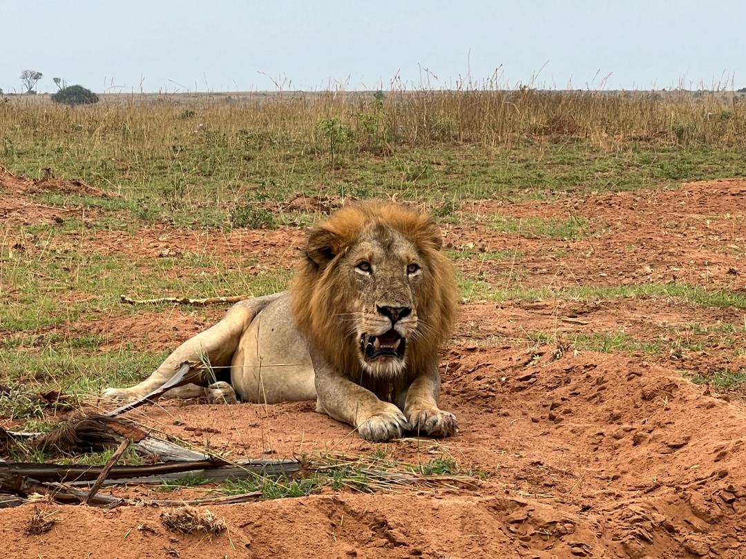 Safari Activities And Adventures From Savannah Murchison Lodge safari-activities-and-adventures-from-savannah-murchison-lodge