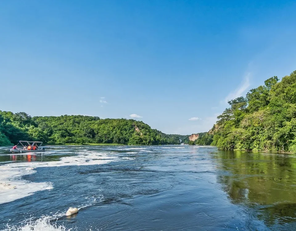 What is the Best Route to Murchison Falls National Park?