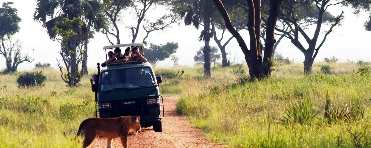 How Long is the Drive to Murchison Falls?