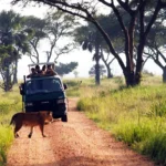 How Long is the Drive to Murchison Falls?