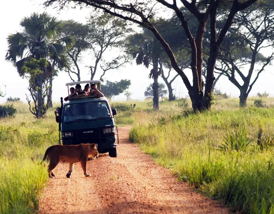 How Long is the Drive to Murchison Falls?