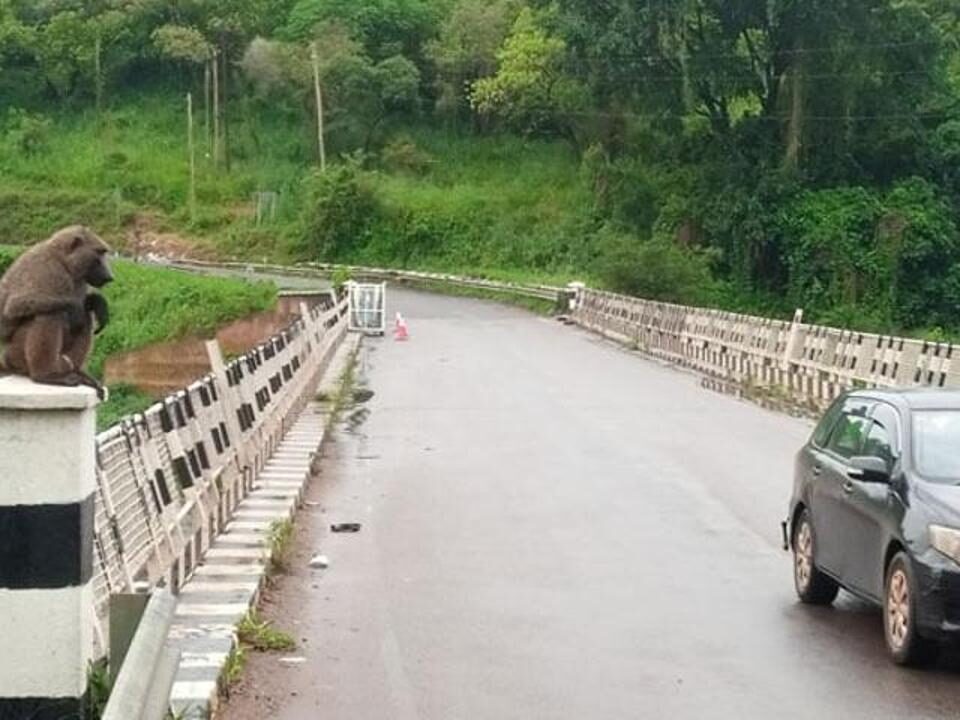 Kichumbanyobo Gate and Tangi Gate?